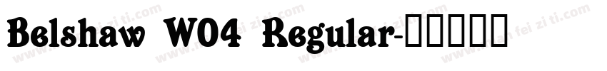 Belshaw W04 Regular字体转换